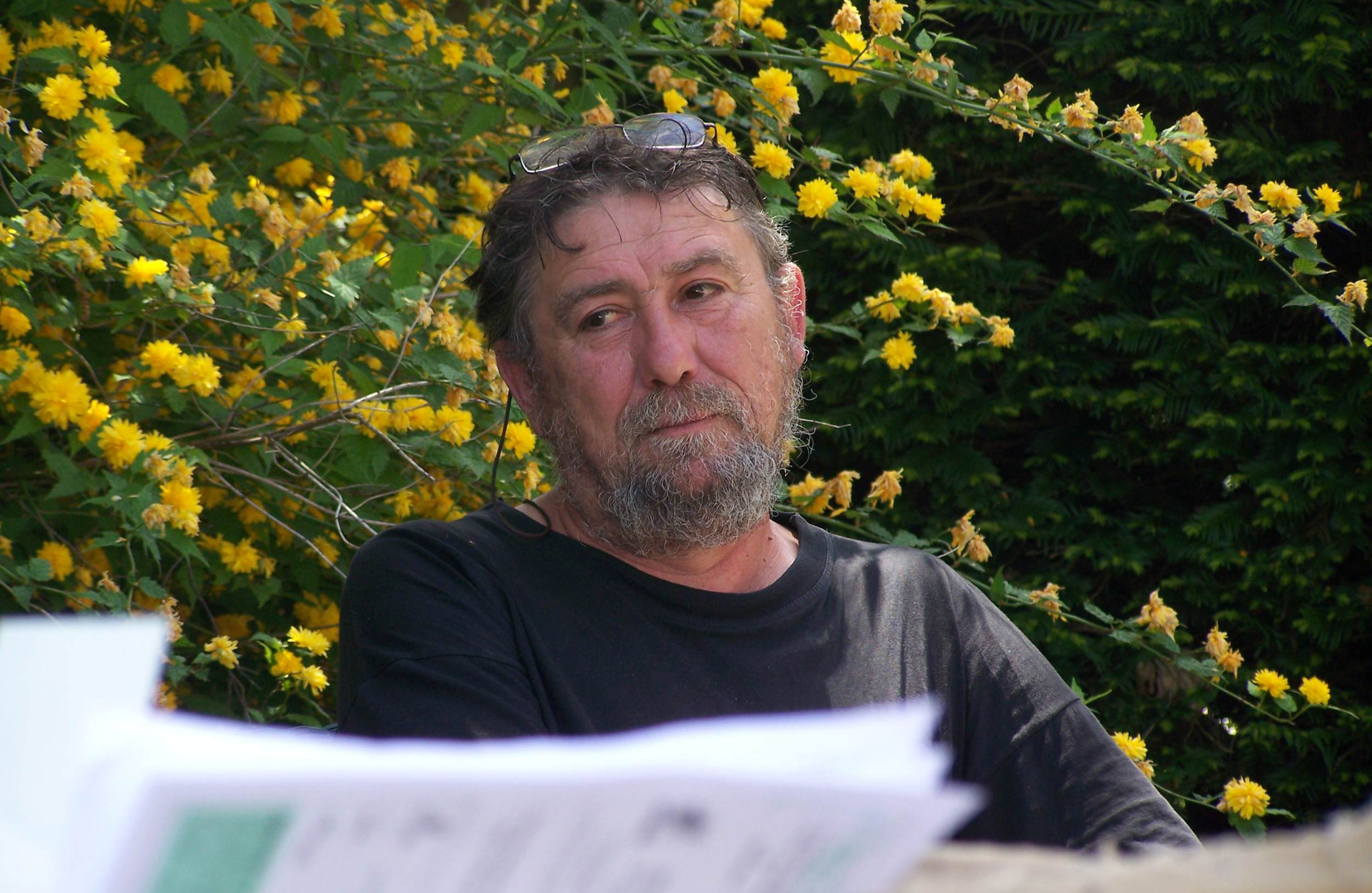 Philippe Forcioli - Le 51
